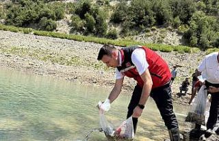 Karacaören Göleti’ne ilk kez 10 bin pullu sazan...