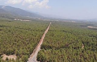 Karacasu’da ormanlarda sıkı denetim