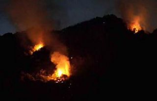 Karadeniz Ereğli’deki orman yangını 3,5 saat...