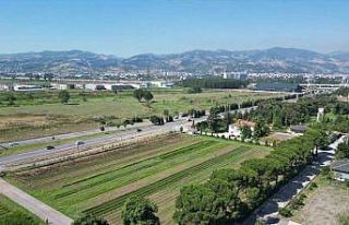 Karadeniz’in en büyük fidanlığı, yangın bölgelerine...