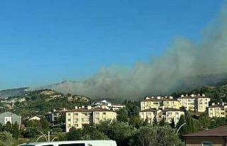 Karamürsel’de orman yangını başladı