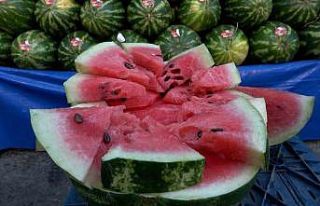 Karpuzun yıkanmadan kesilmesi "salmonella"...