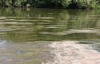 Kars Çayı’nı yosun bastı