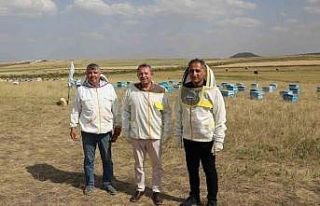 Kars’ta 2025 yılında bin 800 ton bal rekoltesi...