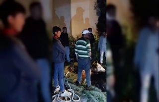 Kars’ta çukura düşen büyükbaş hayvan kurtarıldı