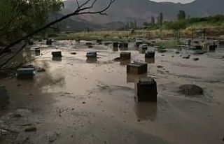 Kars’ta sel felaketi: Arı kovanları sular altında...