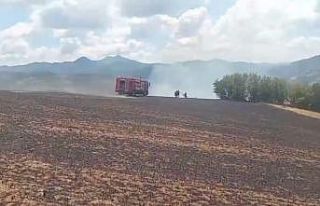 Kartalın elektrik tellerine çarpmasıyla başlayan...