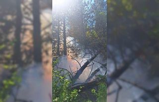 Kastamonu’da çıkan orman yangınında 2 dekar...