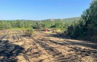 Kastamonu’da elektrik tellerinin kopması sebebiyle...