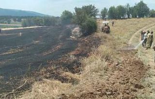 Kastamonu’da tarlalda çıkan örtü yangını söndürüldü