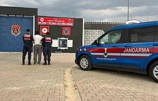 Kasten öldürme suçundan aranan şahsı jandarma...