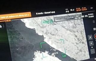 Kaybolan 3 büyükbaş hayvan termal dronla bulundu