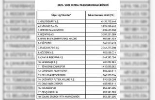 Kayserispor 940 milyon TL harcayacak
