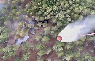 Kazdağları’nda çıkan orman yangını kısa sürede...