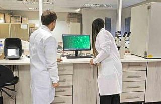 KBÜ Doktora Öğrencisi Güney Afrika’da kanser...