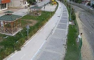 Kediye yardım etmek isterken su kanalına düşerek...