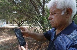 Kemer sahilinde asılsız dev köpekbalığı paylaşımına...