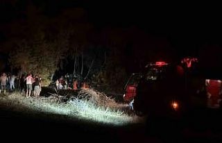 Kemer’de orman yangını kısa sürede söndürüldü