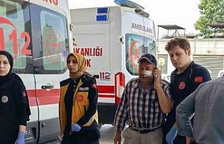 Kendini serinletmeyen bahçıvanı darp etti