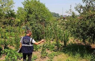 Kesintilere sebep olan kaçak kullanımı engellemek...