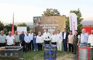 Kestane balı hasadı yapıldı