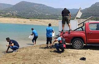 Kilgen Barajı’na 321 bin yavru sazan, baraja bırakıldı