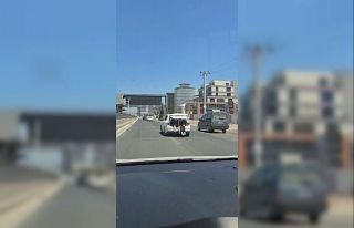 Kilometrelerce bagajda seyahat ettiler