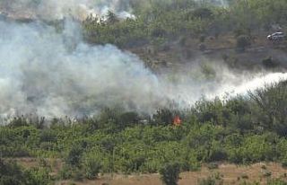 Kırklareli Valiliği yangınlara karşı uyardı