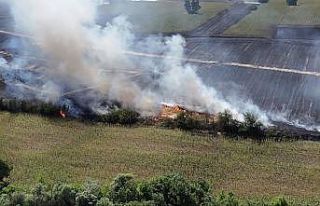 Kırklareli’de ağaçlık alana sıçraya anız...