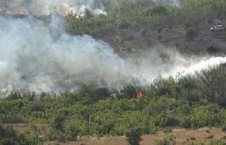 Kırklareli’nde ağaçlık alanda yangın: 150 dekar...
