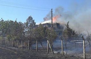 Kırklareli’nde orman yangını: Köye yakın bir...