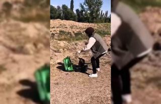 Kızıl şahin tekrar doğaya kavuştu