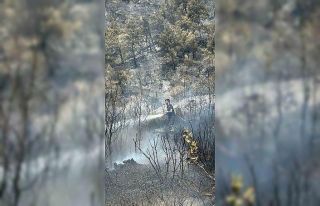 Kocaeli itfaiyesinden Bursa’ya destek