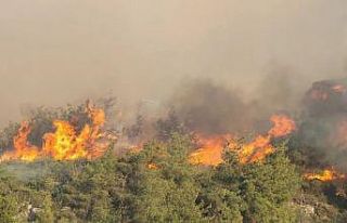 Kocaeli itfaiyesinden Sakarya’ya destek