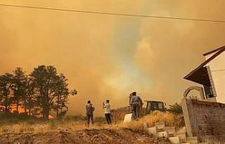 Kocaeli’de çıkan orman yangını büyüyor