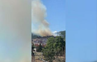 Kocaeli’de orman yangını çıktı