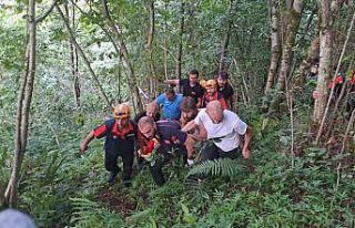 Kontrolden çıkarak ağaçlara takılan araçtan...