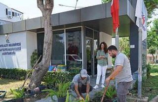 Konyaaltı’nda muhtarlık binaları çiçeklendiriliyor