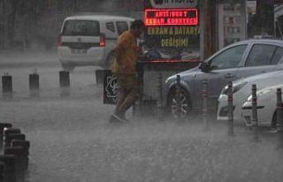 Konya’da yağmur bastırdı, sücürüler zor anlar...