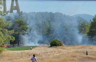 Köyceğiz’de ot yangını