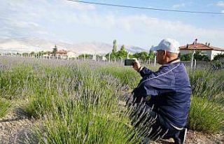 Köyde ’lavanta bahçesi’ turizmi