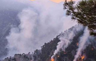 Kozan’daki orman yangını kısmen kontrol altında