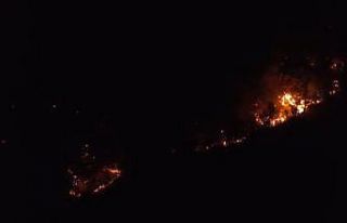 Kozan’daki yangın kontrol altına alındı: 2’si...