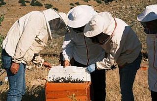 KUDAKA’dan Erzincan Geven Balı Projesine destek