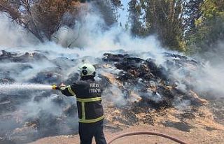 Kumlu’da saman balyaları alevlere teslim oldu