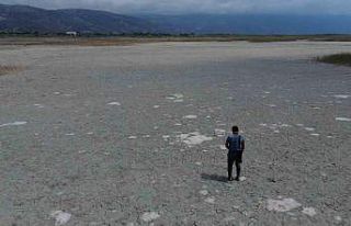 Kuraklığın etkisiyle çöle dönen Milleyha’da...