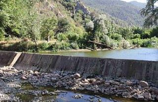 Kuraklık ve orman yangınları Düzmeşe Benti’nin...