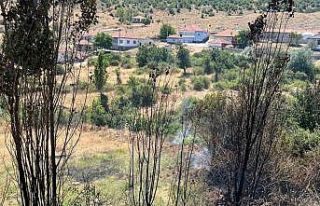 Kuru otları temizlemek isterken yangın çıkarttı,...