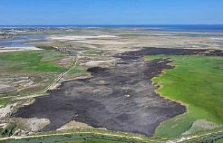 Kuş cenneti Göksu Deltası yangın sonrası havadan...