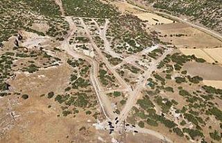 Kütahya Valisi Musa Işın: "Sahipsiz hayvanların...